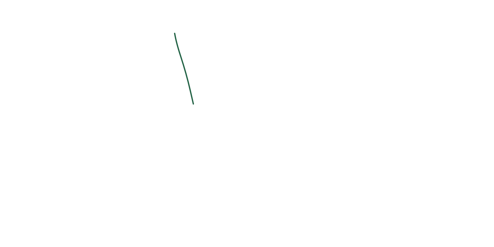 Capture de drapeau